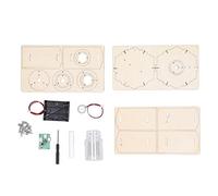 Aolidsive Humidificateur en Bois Modèle 3D, Puzzle en Bois avec Interface de Type C, Fonction de Synchronisation, pour Enfants âgés de 6 à 14 Ans, Kit Scientifique éducatif