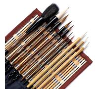 AOMAYLL Lot de 10 pinceaux de calligraphie chinoise professionnels avec étui pour écrire et dessiner (B)