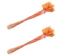 Aonukpdy 120Pcs Fleurs Séchées d'automne Queues de Lapin Fleurs Séchées Lagurus Ovatus Herbe de Queue de Lapin pour Fleurs Séchées (Orange)