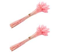Aonukpdy 120Pcs Fleurs Séchées d'automne Queues de Lapin Fleurs Séchées Lagurus Ovatus Herbe de Queue de Lapin pour Fleurs Séchées (Rose)