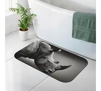 AOOEDM Tapis de Douche à imprimé Animal d'Afrique du Sud, Tapis de Douche en Terre de diatomées, Tapis de Bain antidérapant à séchage Rapide, 19,7 x 31,5 po