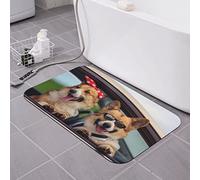 AOOEDM Two Happy Corgi Dogs Tapis de Bain en Terre de diatomées