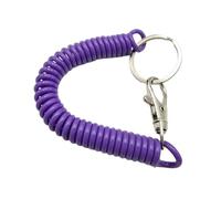 AOOOWER Porte-clés à ressorts hélicoïdaux élastiques colorés pour un accès sûr et pratique aux clés lors des trajets quotidiens ou en plein air, 18cm, Matériaux mélangés, Pas de gemme