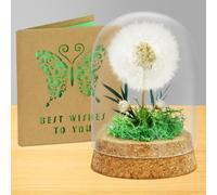 AOOTE Pissenlit dans Un Verre,Décoration de Pissenlit avec Carte de vœux,Cadeau Décoratif dans Un Verre pour Femme,Fille, Petite Amie, sœur, idée de Cadeau d'anniversaire