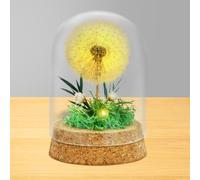 AOOTE Pissenlit dans Un Verre,Décoration de Pissenlit avec Lumineuse,Cadeau Décoratif dans Un Verre pour Femme,Fille, Petite Amie, sœur, idée de Cadeau d'anniversaire