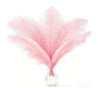 AOOTE Plumes d’Autruche,12 pièces Naturelles Plumes d’Autruche,20-25cm Plume Grand pour Centres de Mariage,Décoration de La Maison,Costume, Loisirs Créatifs(Rose)