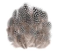 AOOTE Plumes de Faisan,100PCS Plume Loisirs Creatifs,Plumes Loisirs Creatifs Naturelles,Plume Naturelles Décoratives pour DIY Boucle d'oreille Chapeaux Pâques Fete Mariage Décoration
