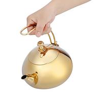 Aoresac Théière en Acier Inoxydable de 1,5 L, Marmite à Eau Bouillante Rapide pour Préparer du café et du thé avec Traitement Spécial de Fond et de Miroir, équipée D'un Treillis en Acier (Or)