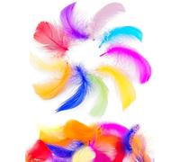 AORHOFJ 100 Pcs Plumes Colorées, Plume Decoration, Naturelles Plume, Plumes Loisirs Creatifs pour Le Bricolage, Mariage, Attrape-Rêves, Plumes de Coiffure, Décoration de la Maison, 6-12cm