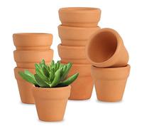 AOROPS Petits Pots en Terre Cuite, 10 pcs Pots de Fleurs en Terre 3cm avec Trou de Drainage Pot Terre Cuite, Pot de Fleur en Terre Cuite de Succulent Cactus pour l'intérieur Extérieur Jardin Chambre