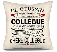 Aosumin Ce Coussin Appartient à la Meilleure collègue du Monde Housse de Coussin pour collègue féminin Anniversaire Cadeau de Noël Cadeau de départ Collègues Cadeau pour Femmes(collègue féminine-a)