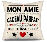 Aosumin Mon Amie Nous Avons essayé de trouver Le Cadeau Parfait pour toi mais tu Nous as déjà Housses de Coussin drôles pour Les Femmes Cadeau d'amitié Cadeau d'anniversaire Cadeau de Noël (Amie-b)