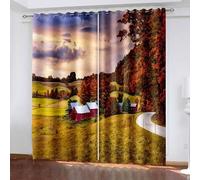 Aotiwe Rideau de Fenetre Interieur, Rideau Salon ete Multicolore Paysage du Village en Périphérie Polyester 2 Panneaux 428x229cm