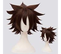 Aotu monde diable Ray Cosplay perruques démon monstre Anmicius perruques Halloween Cosplay Anime style synthétique cheveux Costume perruques C