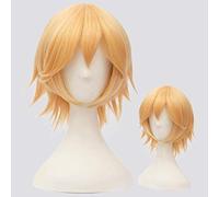 Aotu monde diable Ray Cosplay perruques démon monstre Anmicius perruques Halloween Cosplay Anime style synthétique cheveux Costume perruques A