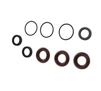 AOWINHIT Kit de Joints de Pompe de Nettoyeur Haute Pression en Caoutchouc, 9 Pièces, Adaptés à Annovi Reverberi 18mm RKA XR RKV XRC XRA,OEM: AR1857, AR880320