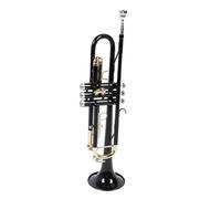 AOWINHIT Trompette en Laiton Bb, Ensemble Standard D'instruments avec une Excellente qualité Sonore pour les Débutants et les Professionnels, Noir