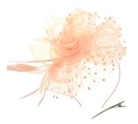 AOWVUTS Fascinator Chapeau Plume Mariage Dames Day Bandeau et Clip Fascinator Chapeau Fleur Maille Plume Dentelle avec Barrett Chapeaus Fascinateur Voile Cocktail Tea Party Chapeaus pour Femme (D, Un)
