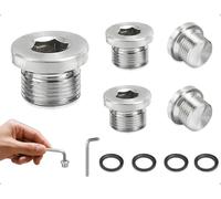 AOYEGIC 5 Pièces Bouchons Borgnes Auto-obturants,Bouchons d'Étanchéité à Embase Hexagonale en Acier Inoxydable Avec Joint en Caoutchouc,Adaptés à l'Automobile,à la Construction Mécanique(1/4 Pouce)