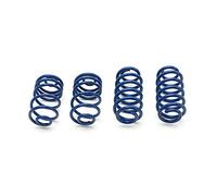 AP Ressorts 40/30 5 E34 FS20-015