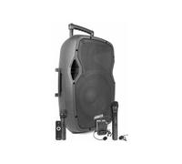 Vonyx AP1200PA - Enceinte Sono Portable avec micros, 600W, BT/USB/SD/MP3
