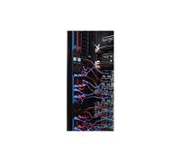 AP8000 - Câble d'alimentation - power IEC 60320 C13 pour IEC 60320 C14 - 10 A - 1.22 m - bleu - Mondial - pour P/N: SCL500RMI1U, SCL500RMI1UC,