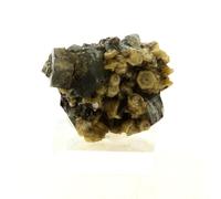 Apatite + Muscovite. 49.74 Ct. Panasqueira Mines, Covilhã, Portugal.