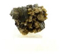 APATITE + MUSCOVITE en provenance du Portugal, Covilhã - Pierre Naturelle Rare et Brillante 23.16 ct - Certificat d'Authenticité Inclus 20 x 15 x 10 mm G