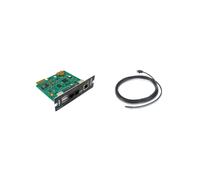 APC AP9641 Carte de Gestion Réseau Smart-UPS (Gen3) avec SmartSlot, Surveillance Environnementale et Support PowerChute Network Shutdown