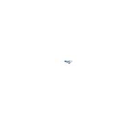 APC Cordons PDU AP9899 C20 25
