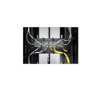 APC - Guide pour câbles - noir - 1U - pour P/N: SCL500RM1U, SMTL2K2RM2UCL, SMTL2K2RM2UCLNC, SMTL3KRM2UCL, SMTL3KRM2UCLNC