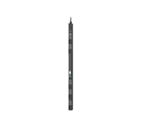 APC NetShelter Rack PDU Advanced - Unité de distribution d'alimentation (montage en rack)