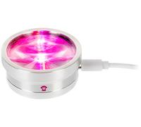 Ape Labs Ape Labs ApeCoin USB-C