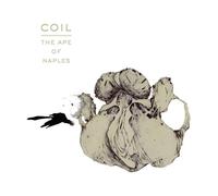 Ape Of Naples - Vinyle 33 Tours