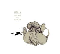 Ape Of Naples - Vinyle 33 Tours