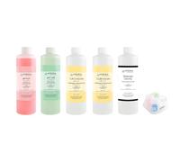 Apera Instruments Kit de solution d'étalonnage pH/EC (pH 7,00, 4,01, 1413 µS, 12,88 mS), 250 ml chacun, plus solution de conservation 3M K t CalBox