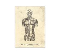 Aperçu de l'avant - Art mural rétro anatomie peinture sur toile médicale cœur, bassin, jambe, muscle, crâne, bassin, poster pour hôpital, clinique, médecin (sans cadre, 40 x 60 cm)