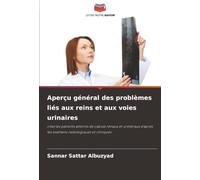 Aperçu général des problèmes liés aux reins et aux voies urinaires: chez les patients atteints de calculs rénaux et urétéraux d'après les examens radiologiques et cliniques