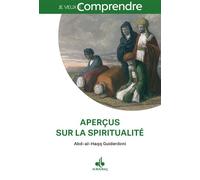 APERçUS SUR LA SPIRITUALITé EN - ABDALHAQQ GUIDERDONI - Albouraq - broché - Essai