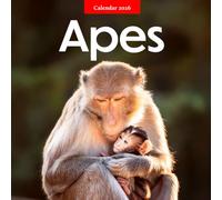 Apes 2026 Calendar: Intelligence, Strength, and the Spirit of the Wild