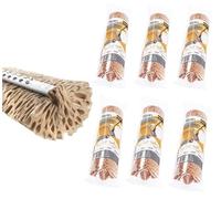 Apex Éponge de Rechange Squizzo Classic 28 cm pour Lave-Sol (Lot de 6)