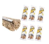 Apex Lot de 6 pièces de rechange éponge classique 25 cm, absorbante, longue durée pour lave-linge Squizzo