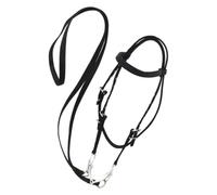 APGLSXY Bride de cheval tendance en alliage d'argent avec doublure douce et matériaux imperméables pour les équestres professionnels Utilisation bride de cheval imperméable
