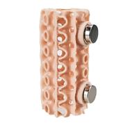 APGLSXY Cachettes magnétiques en ABS ventilées pour petits reptiles et observations