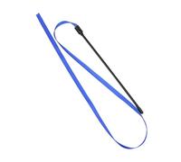 APGLSXY Lot de 10 baguettes de jeu pour chats - Bandes colorées double face - Jouet interactif pour chats chassés - Outil de dressage amusant pour chats