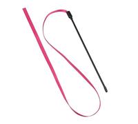APGLSXY Lot de 10 baguettes de jeu pour chats - Bandes colorées double face - Jouet interactif pour chats chassés - Outil de dressage amusant pour chats