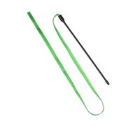 APGLSXY Lot de 10 baguettes de jeu pour chats - Bandes colorées double face - Jouet interactif pour chats chassés - Outil de dressage amusant pour chats