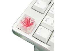 APGLSXY Touches époxy OEM haute translucidité avec fleurs préservées pour claviers mécaniques 1 pièce fleur
