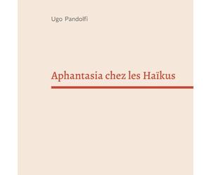 Aphantasia chez les Haïkus