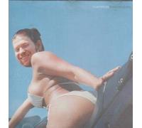 Aphex Twin - Window Licker Pt.2